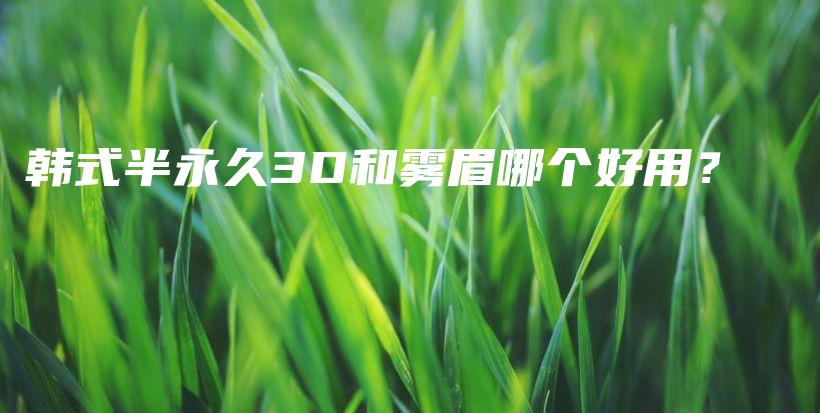 韓式半永久3D和霧眉哪個(gè)好用？插圖