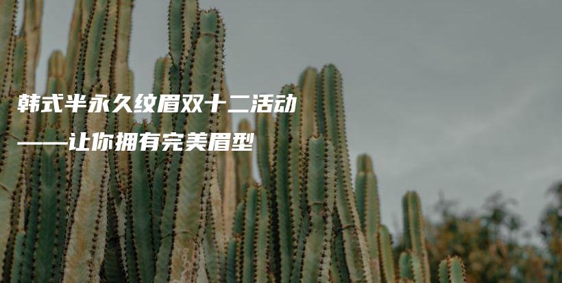 韓式半永久紋眉雙十二活動——讓你擁有完美眉型插圖