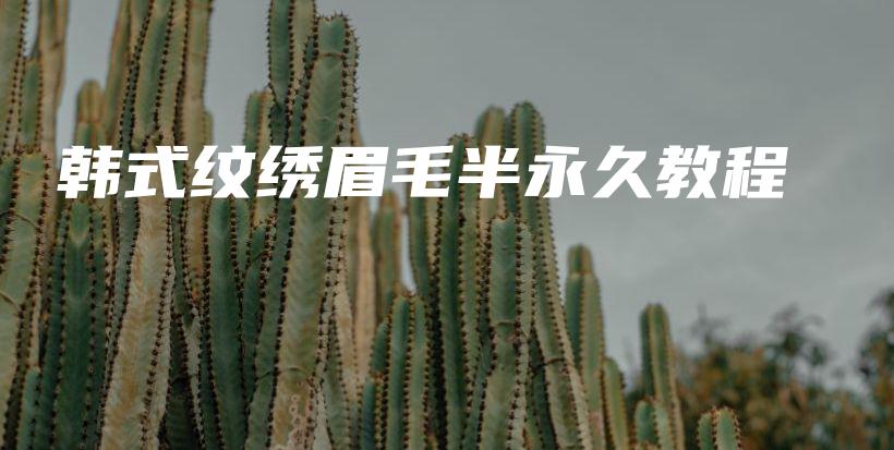 韓式紋繡眉毛半永久教程插圖