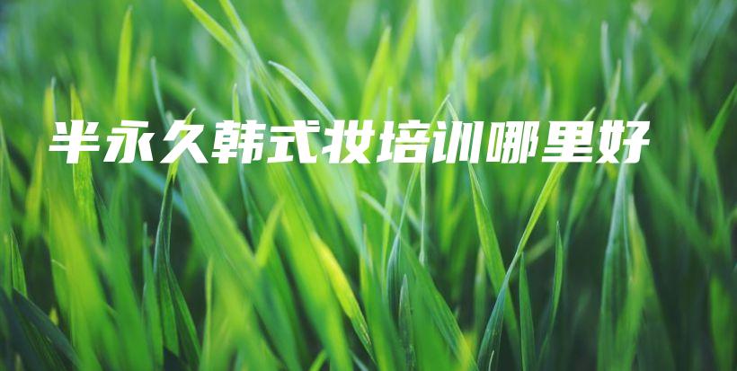 半永久韓式妝培訓(xùn)哪里好插圖
