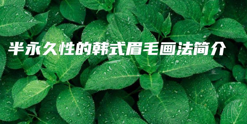 半永久性的韓式眉毛畫法簡介插圖