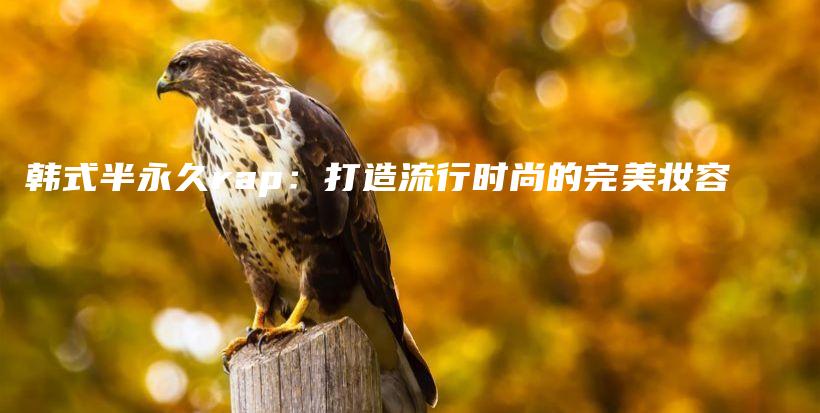 韓式半永久rap：打造流行時尚的完美妝容插圖