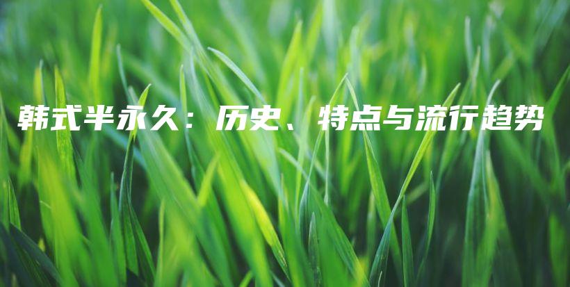 韓式半永久：歷史、特點與流行趨勢插圖
