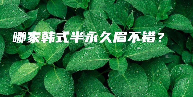 哪家韓式半永久眉不錯？插圖