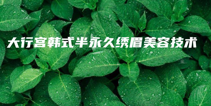 大行宮韓式半永久繡眉美容技術插圖