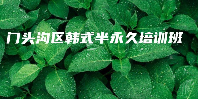 門頭溝區(qū)韓式半永久培訓(xùn)班插圖