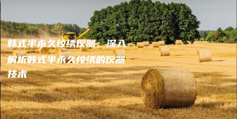 韓式半永久紋繡儀器：深入解析韓式半永久紋繡的儀器技術(shù)插圖