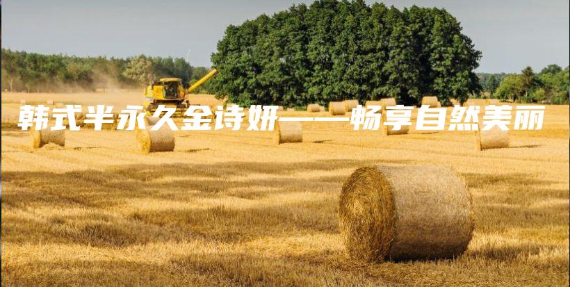 韓式半永久金詩(shī)妍——暢享自然美麗插圖