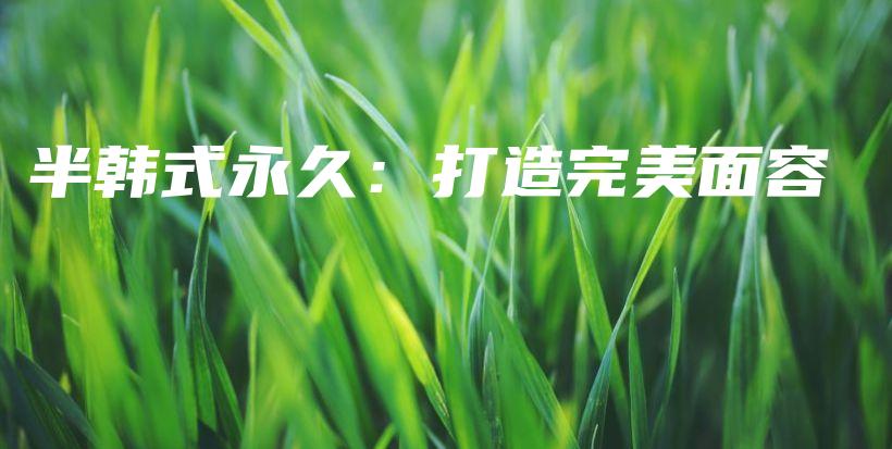 半韓式永久：打造完美面容插圖