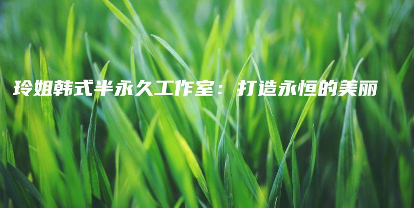 玲姐韓式半永久工作室：打造永恒的美麗插圖