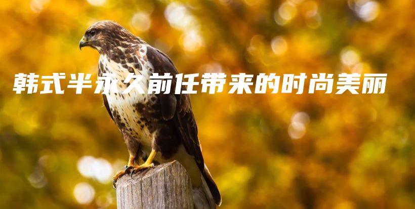 韓式半永久前任帶來(lái)的時(shí)尚美麗插圖