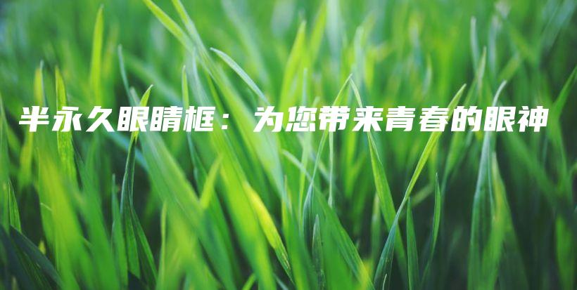 半永久眼睛框：為您帶來青春的眼神插圖