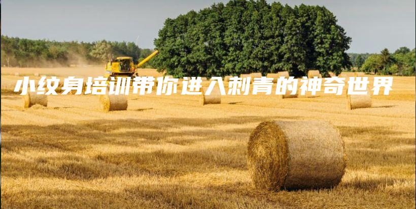 小紋身培訓(xùn)帶你進(jìn)入刺青的神奇世界插圖