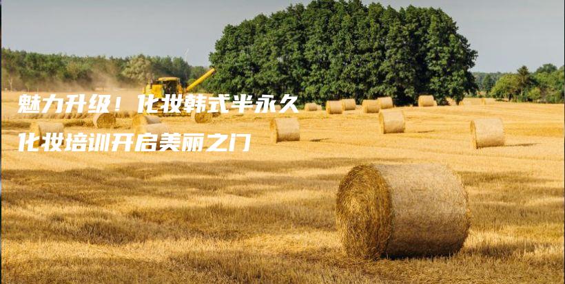 魅力升級！化妝韓式半永久化妝培訓(xùn)開啟美麗之門插圖