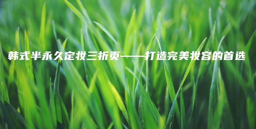 韓式半永久定妝三折頁——打造完美妝容的首選插圖