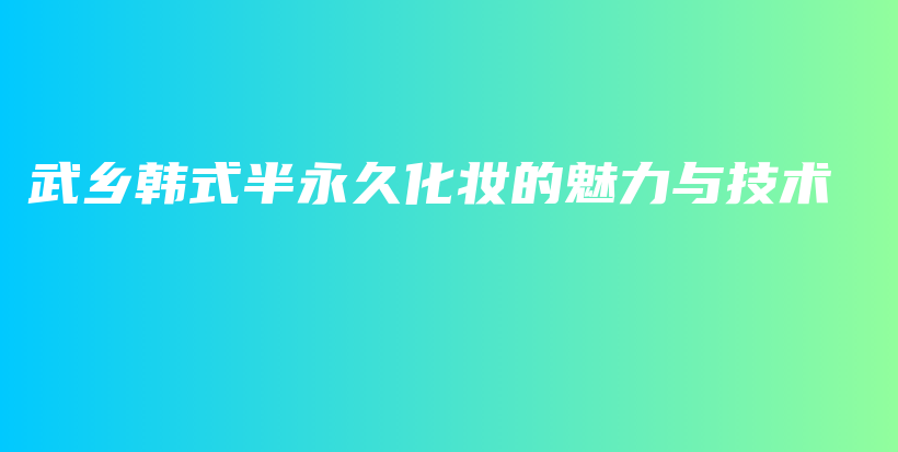 武鄉(xiāng)韓式半永久化妝的魅力與技術(shù)插圖