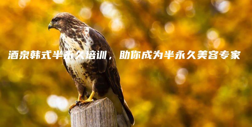 酒泉韓式半永久培訓(xùn)，助你成為半永久美容專(zhuān)家插圖