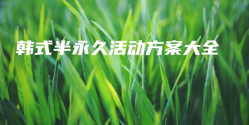 韓式半永久活動方案大全插圖