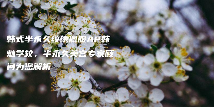 韓式半永久紋繡佩服AP韓魅學(xué)校，半永久美容專家顧問(wèn)為您解析插圖