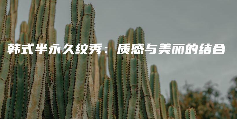 韓式半永久紋秀：質(zhì)感與美麗的結(jié)合插圖