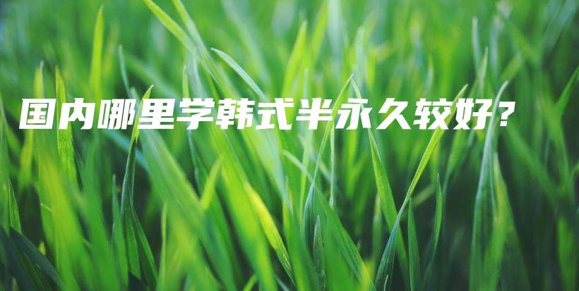 國內(nèi)哪里學(xué)韓式半永久較好？插圖