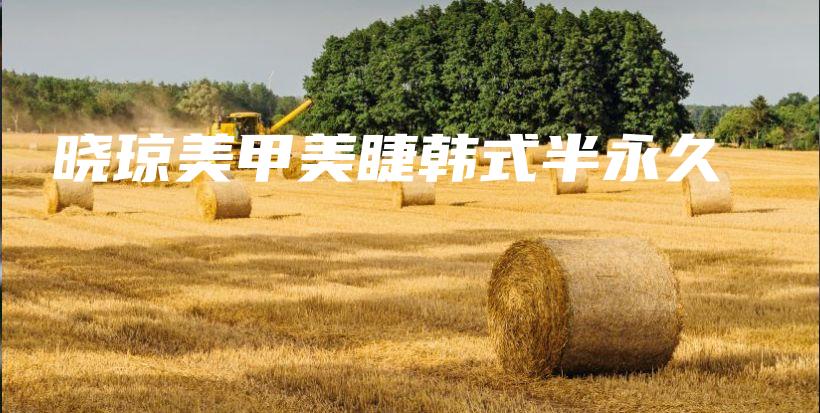 曉瓊美甲美睫韓式半永久插圖