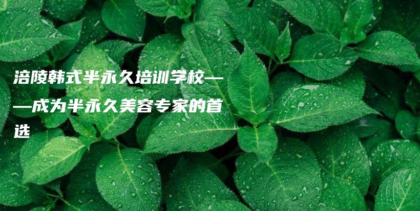 涪陵韓式半永久培訓(xùn)學校——成為半永久美容專家的首選插圖