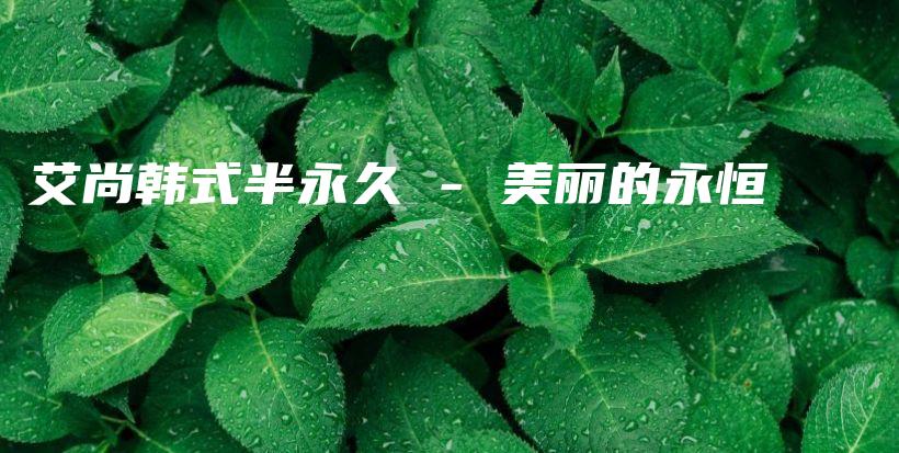 艾尚韓式半永久 – 美麗的永恒插圖