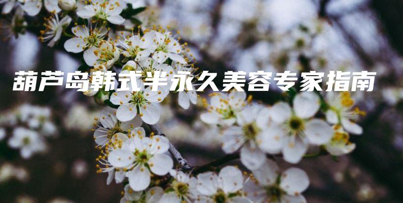 葫蘆島韓式半永久美容專家指南插圖