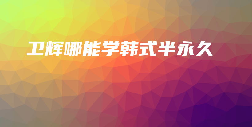 衛(wèi)輝哪能學(xué)韓式半永久插圖