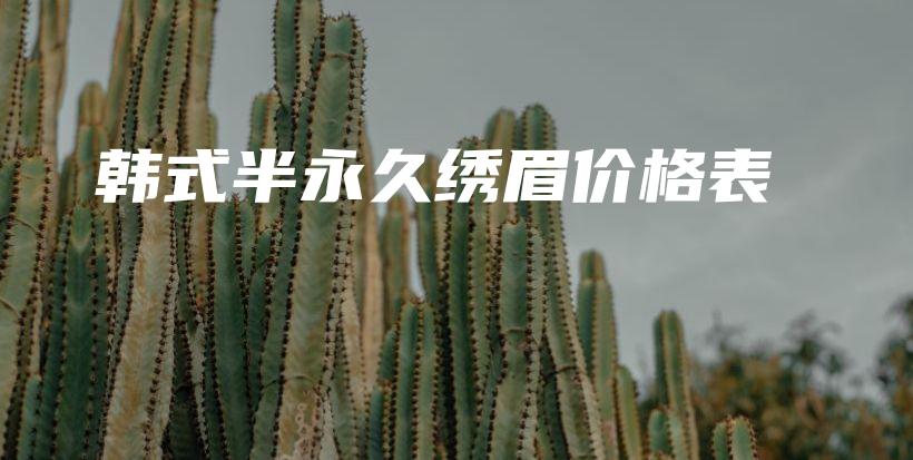 韓式半永久繡眉價格表插圖