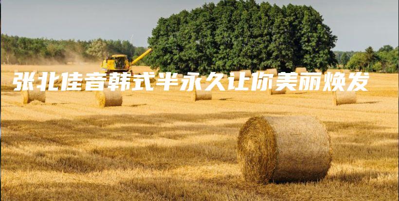 張北佳音韓式半永久讓你美麗煥發(fā)插圖