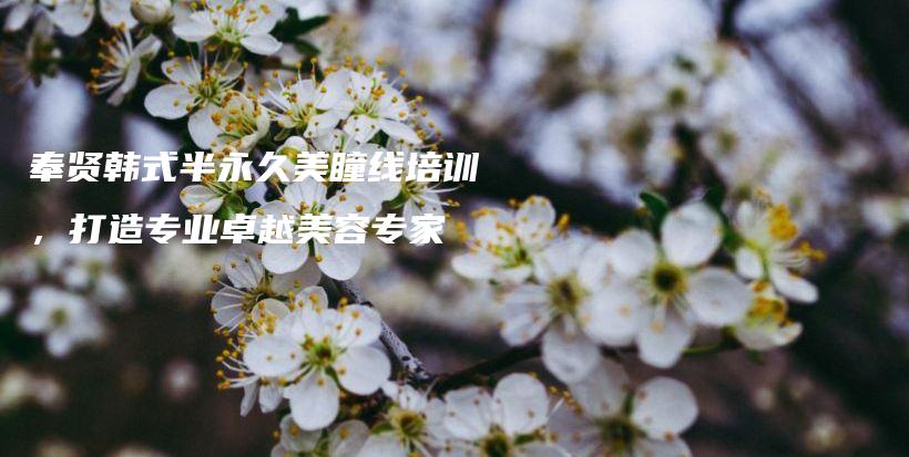奉賢韓式半永久美瞳線培訓(xùn)，打造專業(yè)卓越美容專家插圖