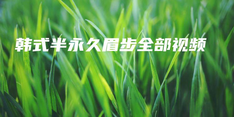 韓式半永久眉步全部視頻插圖