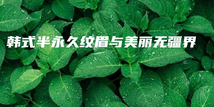 韓式半永久紋眉與美麗無(wú)疆界插圖