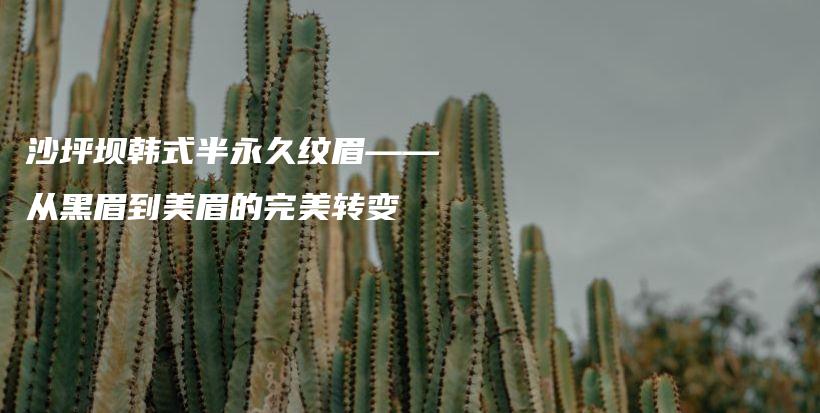 沙坪壩韓式半永久紋眉——從黑眉到美眉的完美轉(zhuǎn)變插圖