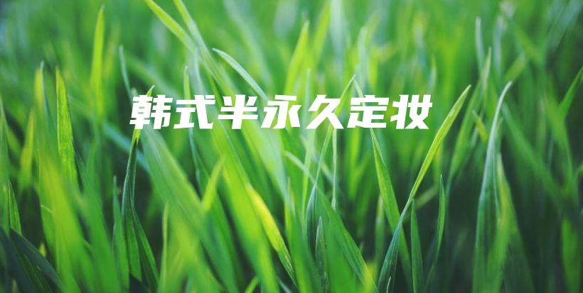 韓式半永久定妝插圖