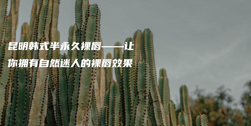 昆明韓式半永久裸唇——讓你擁有自然迷人的裸唇效果插圖