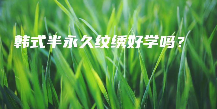 韓式半永久紋繡好學(xué)嗎？插圖