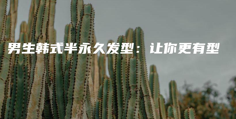 男生韓式半永久發(fā)型：讓你更有型插圖