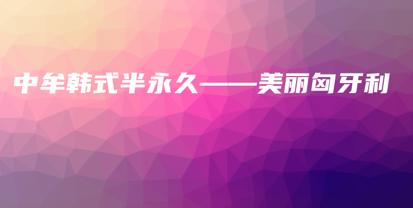 中牟韓式半永久——美麗匈牙利插圖