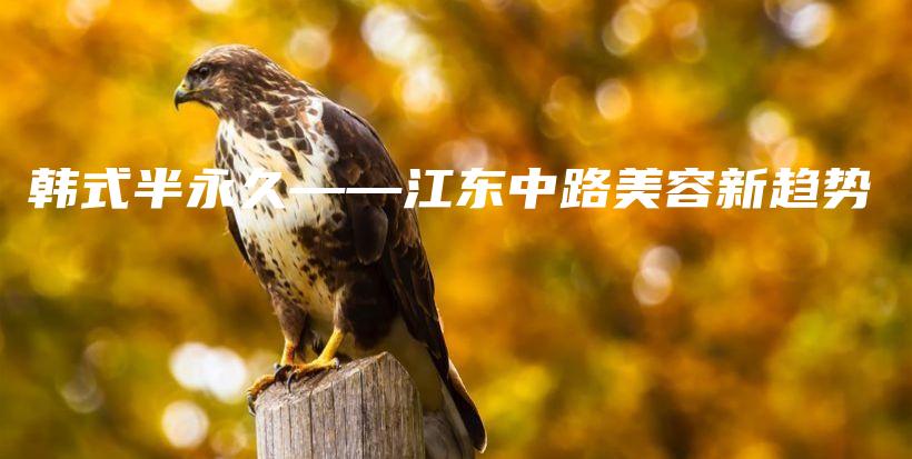 韓式半永久——江東中路美容新趨勢(shì)插圖