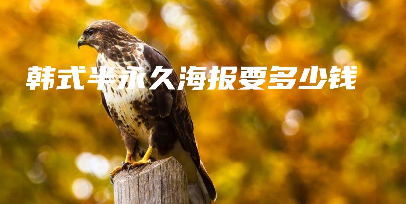 韓式半永久海報要多少錢插圖