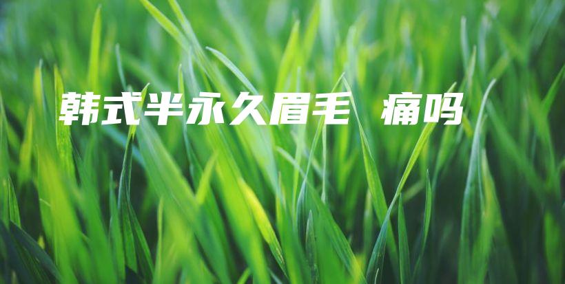 韓式半永久眉毛 痛嗎插圖
