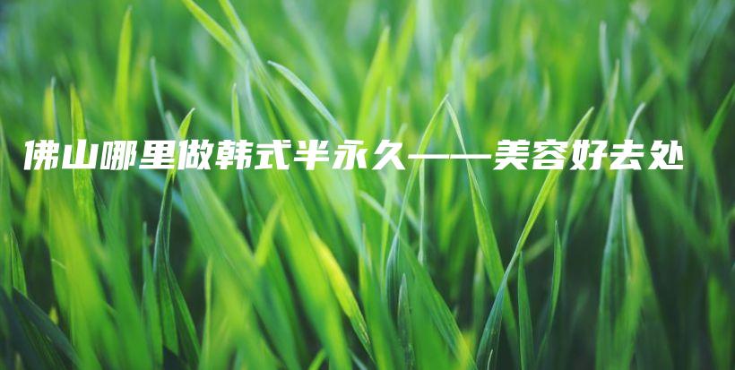 佛山哪里做韓式半永久——美容好去處插圖