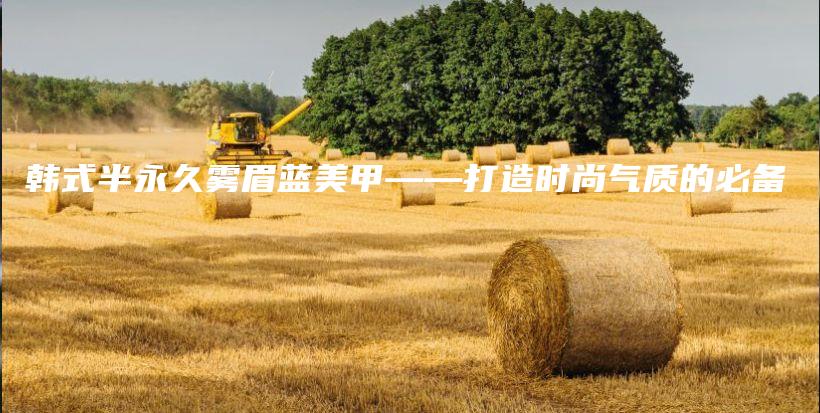 韓式半永久霧眉藍(lán)美甲——打造時尚氣質(zhì)的必備插圖
