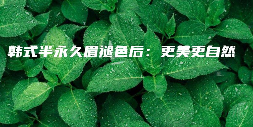 韓式半永久眉褪色后：更美更自然插圖