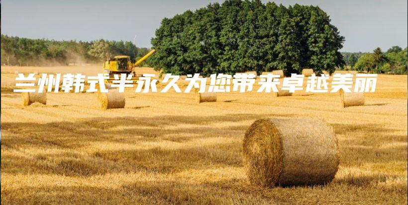 蘭州韓式半永久為您帶來卓越美麗插圖