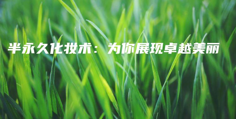 半永久化妝術：為你展現(xiàn)卓越美麗插圖