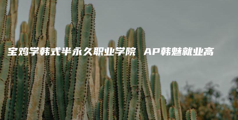 寶雞學(xué)韓式半永久職業(yè)學(xué)院 AP韓魅就業(yè)高插圖